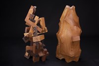 森林中的變動與包容藏品圖，第2張