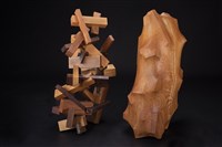 森林中的變動與包容藏品圖，第3張