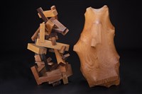 森林中的變動與包容藏品圖，第4張