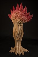 花藏品圖，第2張