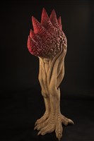 花藏品圖，第3張