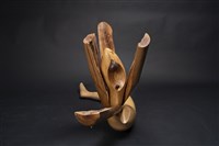 維納斯藏品圖，第2張