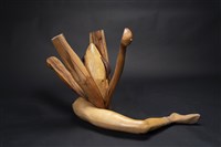 維納斯藏品圖，第3張