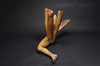 維納斯藏品圖，第4張