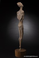 軀藏品圖，第3張