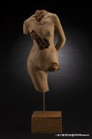 女體藏品圖，第1張