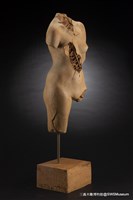 女體藏品圖，第2張