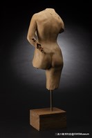 女體藏品圖，第5張