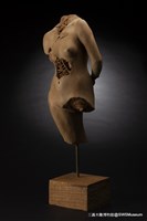 女體藏品圖，第7張