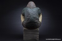 走火入魔藏品圖，第5張