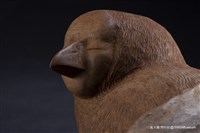 溫，情藏品圖，第2張