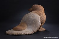 溫，情藏品圖，第6張