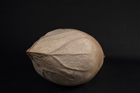 子非子藏品圖，第3張