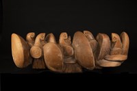 和平種子的圖片