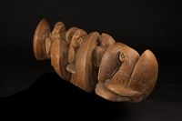 和平種子藏品圖，第2張