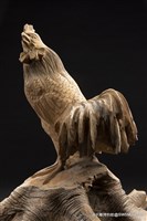 雞藏品圖，第2張