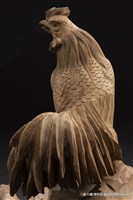 雞藏品圖，第4張