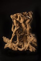 多子多孫藏品圖，第4張