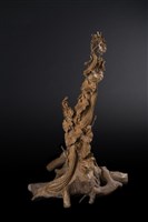 絲瓜藏品圖，第1張