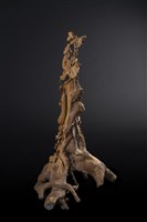 絲瓜藏品圖，第3張