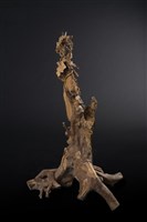 絲瓜藏品圖，第4張