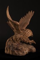 神鷹展翅藏品圖，第3張