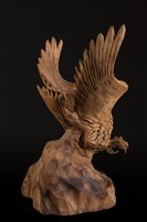 神鷹展翅藏品圖，第4張