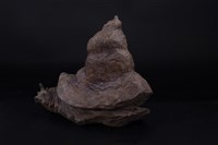 蝸牛腳上爭何事藏品圖，第2張