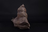 蝸牛腳上爭何事藏品圖，第3張