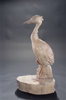 鷺鷥藏品圖，第3張