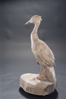 鷺鷥藏品圖，第4張