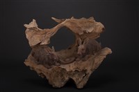 手足情深(兔)的圖片