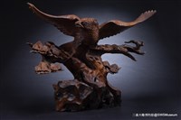 天然鷹藏品圖，第1張