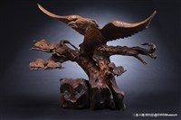 天然鷹藏品圖，第2張