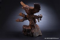 天然鷹藏品圖，第3張