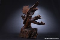 天然鷹藏品圖，第4張