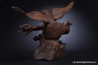 天然鷹藏品圖，第5張