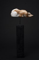 一朵飄過的雲藏品圖，第4張