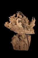 春意盎然的圖片