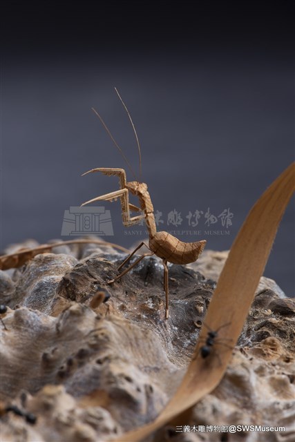 虛與實藏品圖，第5張