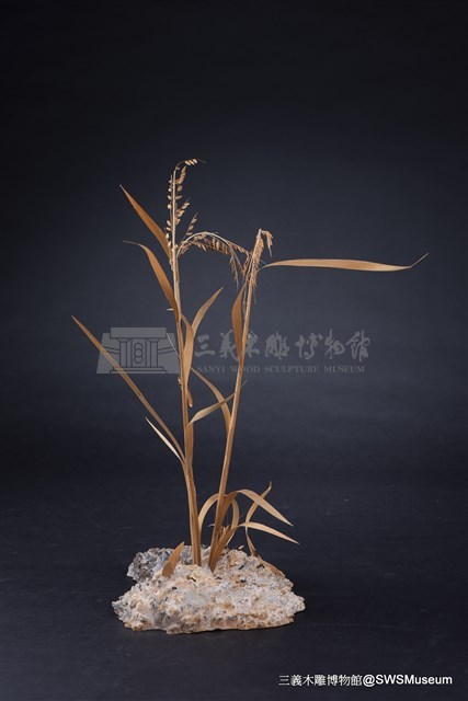 虛與實藏品圖，第14張