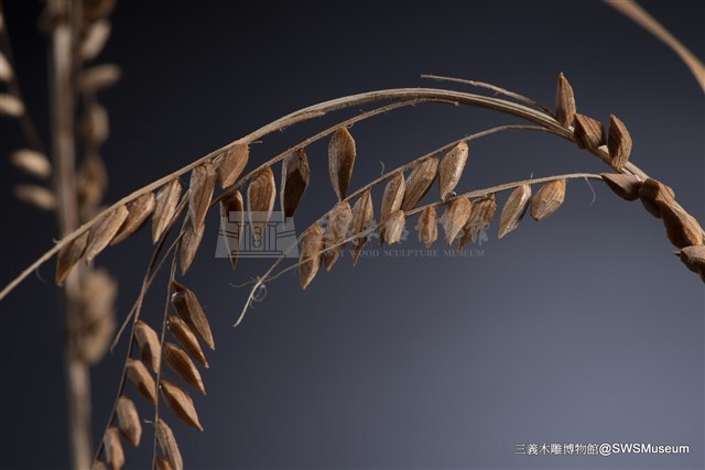 虛與實藏品圖，第2張