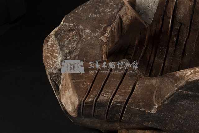 殼藏品圖，第3張