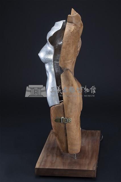 炫麗的外衣藏品圖，第3張
