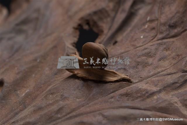 秋露藏品圖，第5張