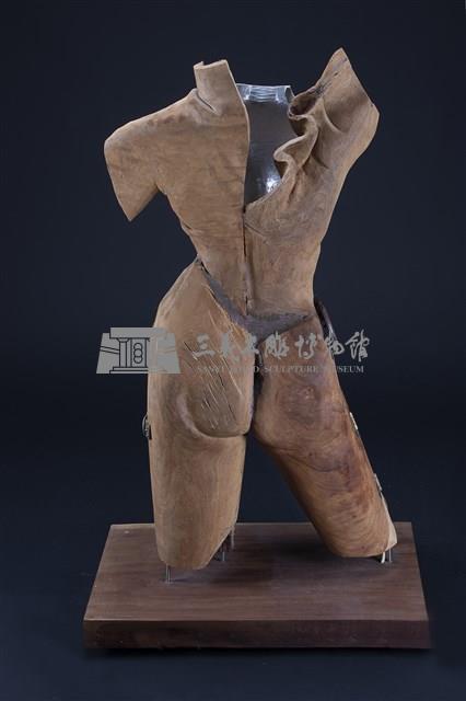 炫麗的外衣藏品圖，第4張
