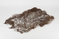 魚網藏品圖，第3張