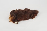 獸皮藏品圖，第3張