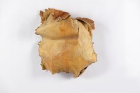 獸皮藏品圖，第2張