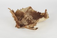 獸皮藏品圖，第3張